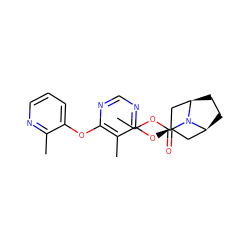 CCOC(=O)N1[C@H]2CC[C@@H]1C[C@H](Oc1ncnc(Oc3cccnc3C)c1C)C2 ZINC000103229856