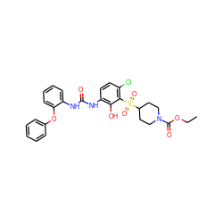 CCOC(=O)N1CCC(S(=O)(=O)c2c(Cl)ccc(NC(=O)Nc3ccccc3Oc3ccccc3)c2O)CC1 ZINC000115474558