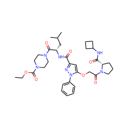 CCOC(=O)N1CCN(C(=O)[C@H](CC(C)C)NC(=O)c2cc(OCC(=O)N3CCC[C@H]3C(=O)NC3CCC3)n(-c3ccccc3)n2)CC1 ZINC000095555163