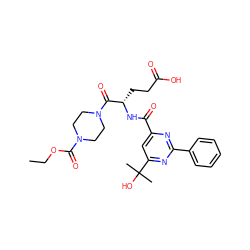 CCOC(=O)N1CCN(C(=O)[C@H](CCC(=O)O)NC(=O)c2cc(C(C)(C)O)nc(-c3ccccc3)n2)CC1 ZINC000136595997