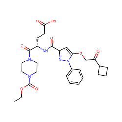 CCOC(=O)N1CCN(C(=O)[C@H](CCC(=O)O)NC(=O)c2cc(OCC(=O)C3CCC3)n(-c3ccccc3)n2)CC1 ZINC000095552615