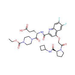 CCOC(=O)N1CCN(C(=O)[C@H](CCC(=O)O)NC(=O)c2cc(OCC(=O)N3CCC[C@H]3C(=O)NC3CCC3)c3cc(F)c(F)cc3n2)CC1 ZINC000169701288