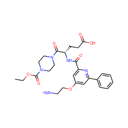 CCOC(=O)N1CCN(C(=O)[C@H](CCC(=O)O)NC(=O)c2cc(OCCN)cc(-c3ccccc3)n2)CC1 ZINC000043059756