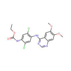 CCOC(=O)Nc1cc(Cl)c(Nc2ncnc3cc(OC)c(OC)cc23)cc1Cl ZINC000169324381