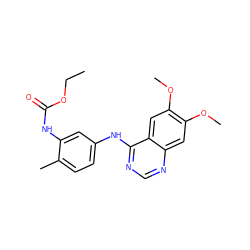 CCOC(=O)Nc1cc(Nc2ncnc3cc(OC)c(OC)cc23)ccc1C ZINC000084633132