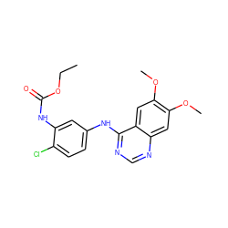 CCOC(=O)Nc1cc(Nc2ncnc3cc(OC)c(OC)cc23)ccc1Cl ZINC000084596933