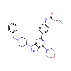 CCOC(=O)Nc1ccc(-c2nc(N3CCOCC3)c3cnn(C4CCN(Cc5ccccc5)CC4)c3n2)cc1 ZINC000043079917