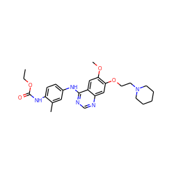 CCOC(=O)Nc1ccc(Nc2ncnc3cc(OCCN4CCCCC4)c(OC)cc23)cc1C ZINC000169324401