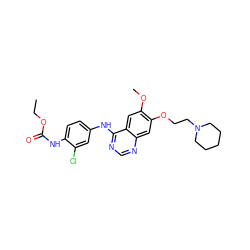 CCOC(=O)Nc1ccc(Nc2ncnc3cc(OCCN4CCCCC4)c(OC)cc23)cc1Cl ZINC000169329820