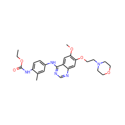 CCOC(=O)Nc1ccc(Nc2ncnc3cc(OCCN4CCOCC4)c(OC)cc23)cc1C ZINC000169329818