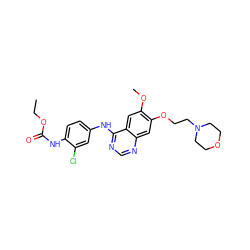 CCOC(=O)Nc1ccc(Nc2ncnc3cc(OCCN4CCOCC4)c(OC)cc23)cc1Cl ZINC000169326668