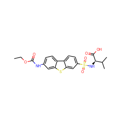 CCOC(=O)Nc1ccc2c(c1)sc1cc(S(=O)(=O)N[C@@H](C(=O)O)C(C)C)ccc12 ZINC000043120102