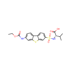 CCOC(=O)Nc1ccc2c(c1)sc1cc(S(=O)(=O)N[C@H](C(=O)O)C(C)C)ccc12 ZINC000043120101