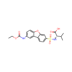 CCOC(=O)Nc1ccc2oc3cc(S(=O)(=O)N[C@H](C(=O)O)C(C)C)ccc3c2c1 ZINC000040431156