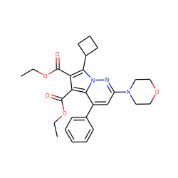 CCOC(=O)c1c(C(=O)OCC)c2c(-c3ccccc3)cc(N3CCOCC3)nn2c1C1CCC1 ZINC000064548330