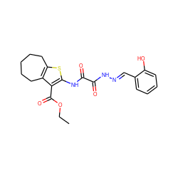 CCOC(=O)c1c(NC(=O)C(=O)N/N=C/c2ccccc2O)sc2c1CCCCC2 ZINC000008682598