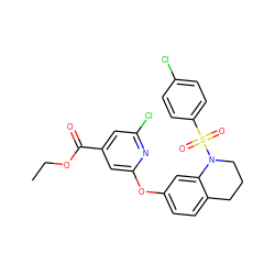 CCOC(=O)c1cc(Cl)nc(Oc2ccc3c(c2)N(S(=O)(=O)c2ccc(Cl)cc2)CCC3)c1 ZINC000103263456