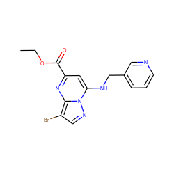 CCOC(=O)c1cc(NCc2cccnc2)n2ncc(Br)c2n1 ZINC000028958904