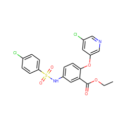 CCOC(=O)c1cc(NS(=O)(=O)c2ccc(Cl)cc2)ccc1Oc1cncc(Cl)c1 ZINC000001031448