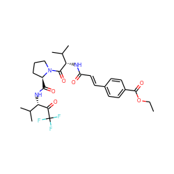CCOC(=O)c1ccc(/C=C/C(=O)N[C@H](C(=O)N2CCC[C@@H]2C(=O)N[C@H](C(=O)C(F)(F)F)C(C)C)C(C)C)cc1 ZINC000029549812