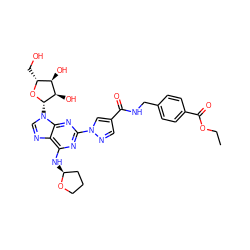 CCOC(=O)c1ccc(CNC(=O)c2cnn(-c3nc(N[C@H]4CCCO4)c4ncn([C@@H]5O[C@H](CO)[C@@H](O)[C@H]5O)c4n3)c2)cc1 ZINC000028817638