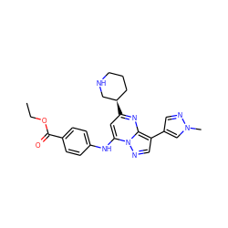 CCOC(=O)c1ccc(Nc2cc([C@@H]3CCCNC3)nc3c(-c4cnn(C)c4)cnn23)cc1 ZINC000066105098