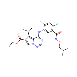 CCOC(=O)c1cn2ncnc(Nc3cc(C(=O)NOCC(C)C)c(F)cc3F)c2c1C(C)C ZINC000013645276