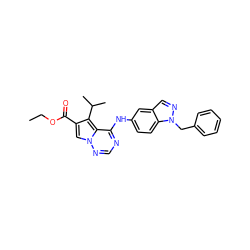 CCOC(=O)c1cn2ncnc(Nc3ccc4c(cnn4Cc4ccccc4)c3)c2c1C(C)C ZINC000014954048