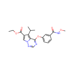 CCOC(=O)c1cn2ncnc(Oc3cccc(C(=O)NOC)c3)c2c1C(C)C ZINC000013645246