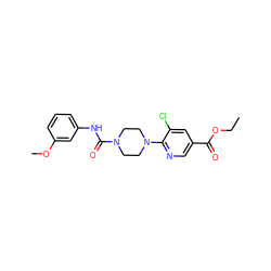 CCOC(=O)c1cnc(N2CCN(C(=O)Nc3cccc(OC)c3)CC2)c(Cl)c1 ZINC000071294459