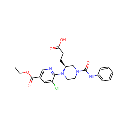 CCOC(=O)c1cnc(N2CCN(C(=O)Nc3ccccc3)C[C@@H]2CCC(=O)O)c(Cl)c1 ZINC000096272831