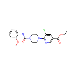 CCOC(=O)c1cnc(N2CCN(C(=O)Nc3ccccc3OC)CC2)c(Cl)c1 ZINC000071282394