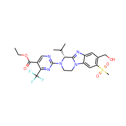 CCOC(=O)c1cnc(N2CCn3c(nc4cc(CO)c(S(C)(=O)=O)cc43)[C@H]2C(C)C)nc1C(F)(F)F ZINC000204938728