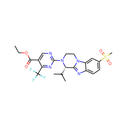 CCOC(=O)c1cnc(N2CCn3c(nc4ccc(S(C)(=O)=O)cc43)[C@@H]2C(C)C)nc1C(F)(F)F ZINC000147774153