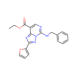 CCOC(=O)c1cnc(NCc2ccccc2)n2nc(-c3ccco3)nc12 ZINC000299834944