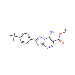 CCOC(=O)c1cnc2cc(-c3ccc(C(C)(C)C)cc3)nn2c1N ZINC000000620673