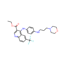 CCOC(=O)c1cnc2ccc(C(F)(F)F)cc2c1Nc1ccc(NCCCN2CCOCC2)cc1 ZINC000473149185