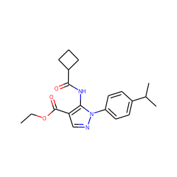 CCOC(=O)c1cnn(-c2ccc(C(C)C)cc2)c1NC(=O)C1CCC1 ZINC000000692119