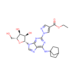 CCOC(=O)c1cnn(-c2nc(NC34CCC(CC3)C4)c3ncn([C@@H]4O[C@H](CO)[C@@H](O)[C@H]4O)c3n2)c1 ZINC000028817663