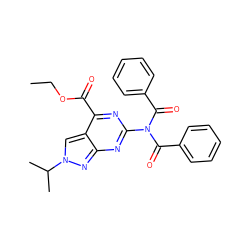 CCOC(=O)c1nc(N(C(=O)c2ccccc2)C(=O)c2ccccc2)nc2nn(C(C)C)cc12 ZINC000299868887