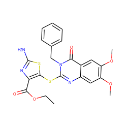 CCOC(=O)c1nc(N)sc1Sc1nc2cc(OC)c(OC)cc2c(=O)n1Cc1ccccc1 ZINC000096258058