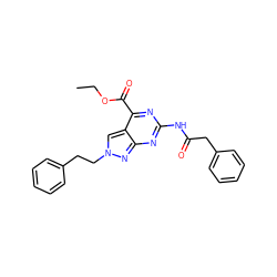 CCOC(=O)c1nc(NC(=O)Cc2ccccc2)nc2nn(CCc3ccccc3)cc12 ZINC000299866659