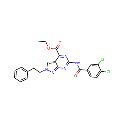 CCOC(=O)c1nc(NC(=O)c2ccc(Cl)c(Cl)c2)nc2nn(CCc3ccccc3)cc12 ZINC000299856384