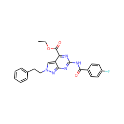 CCOC(=O)c1nc(NC(=O)c2ccc(F)cc2)nc2nn(CCc3ccccc3)cc12 ZINC000299863109