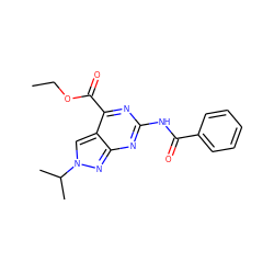 CCOC(=O)c1nc(NC(=O)c2ccccc2)nc2nn(C(C)C)cc12 ZINC000299860318