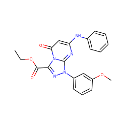 CCOC(=O)c1nn(-c2cccc(OC)c2)c2nc(Nc3ccccc3)cc(=O)n12 ZINC000001016941