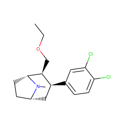 CCOC[C@H]1[C@@H](c2ccc(Cl)c(Cl)c2)C[C@@H]2CC[C@H]1N2C ZINC000147200049