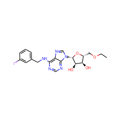 CCOC[C@H]1O[C@@H](n2cnc3c(NCc4cccc(I)c4)ncnc32)[C@H](O)[C@@H]1O ZINC000013863893