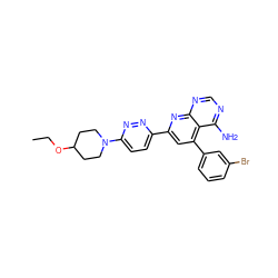 CCOC1CCN(c2ccc(-c3cc(-c4cccc(Br)c4)c4c(N)ncnc4n3)nn2)CC1 ZINC000013538453