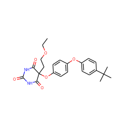 CCOCCC1(Oc2ccc(Oc3ccc(C(C)(C)C)cc3)cc2)C(=O)NC(=O)NC1=O ZINC000028975593